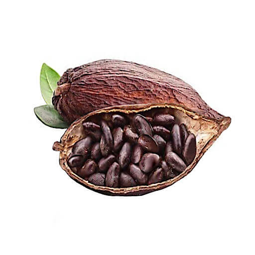 Cocoa