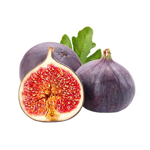 Fig