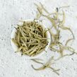 Yunnan Baihao Yinzhen Silver Needle