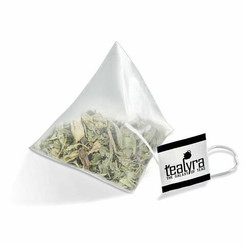 Menthe de la Côte Pacifique