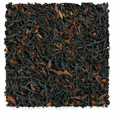 Wild Ancient Tree Schwarz