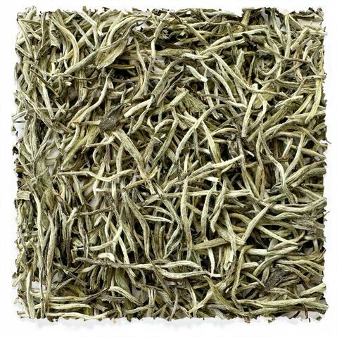 Bai Hao Yin Zhen Silver Needle
