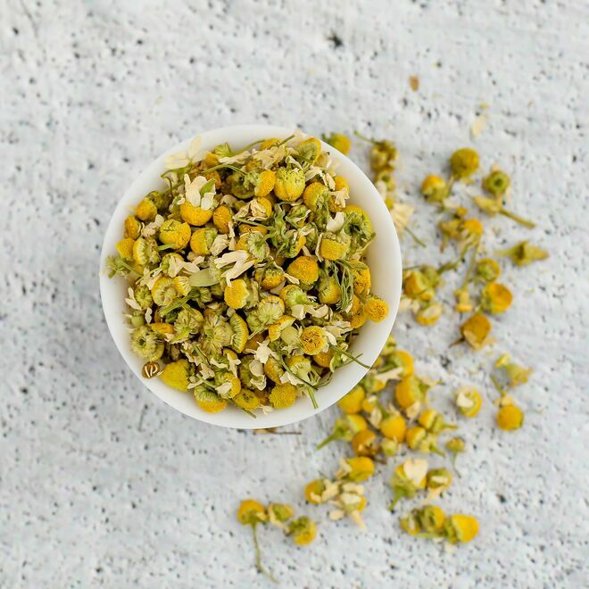 Egyptian Chamomile