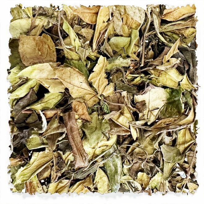 White Shou Mei Aged 3 Years