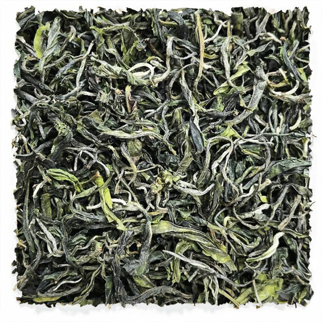 Hiver 1St Flush Yunnan Green