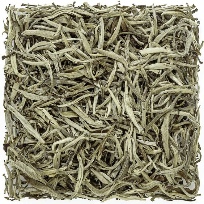 Jasmine Yin Zhen Silver Needle