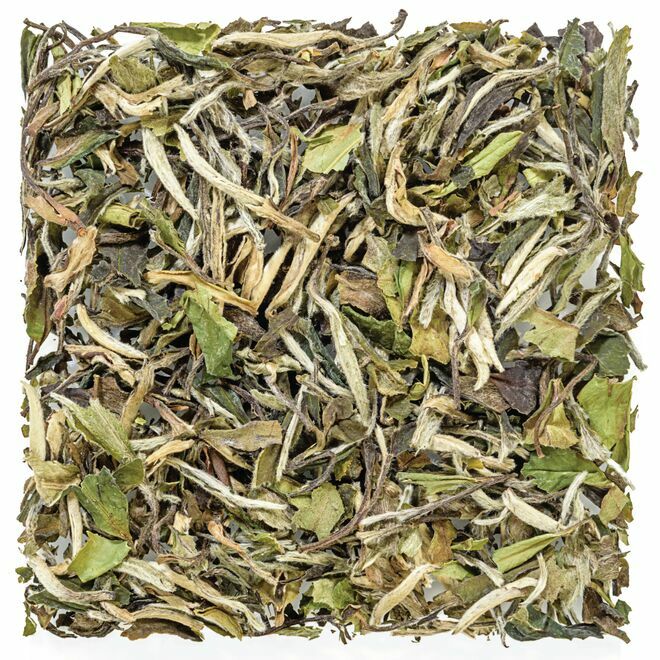 Pai Mu Tan Pivoine Blanche